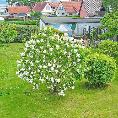 Ferienwohnung Ueckermuende Apartman Neuendorf